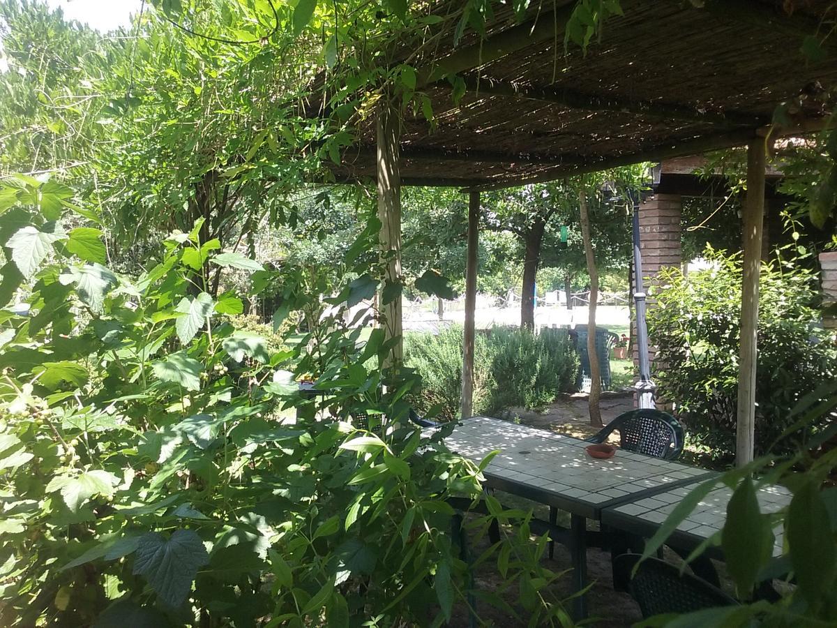 Agriturismo Dolce Verde Castiglione del Lago Extérieur photo